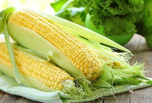 Kukuruza - poleznye svojstva